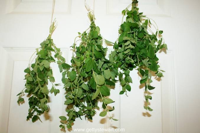 Dry herbs