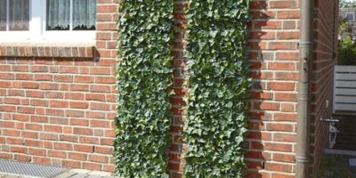 Artificial ivy