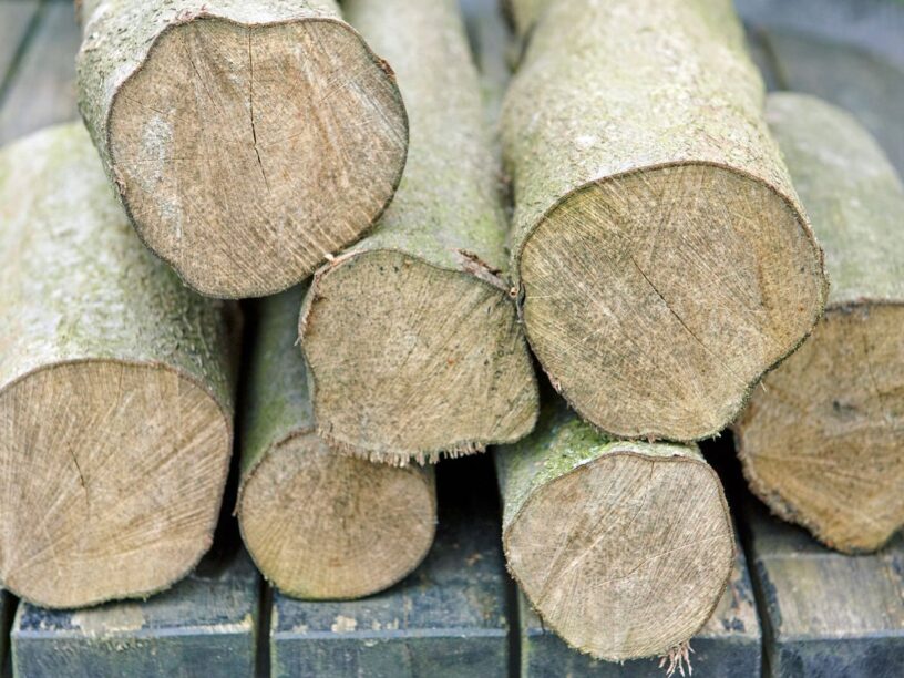 How to dry wood