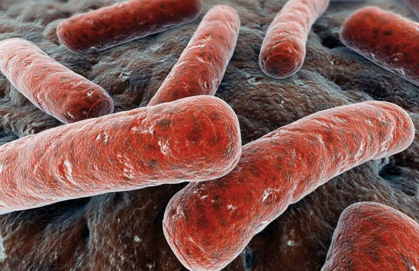 prevent mold