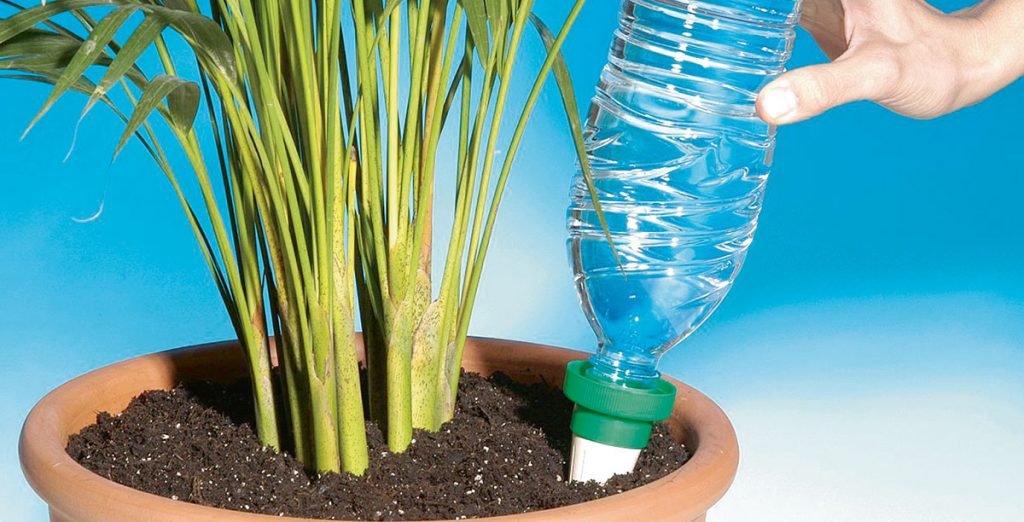 How to water your plants while you're away HOW TO DO EVERYTHING