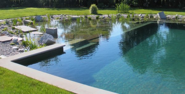 Swimming pool pond