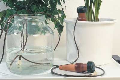 water your plants while you're away
