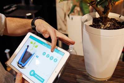 water your plants while you're away 1.jpg