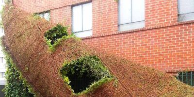 remove ivy vines from a wall easily