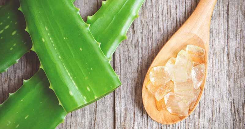 homemade aloe vera gel