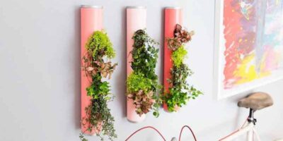 make an indoor garden