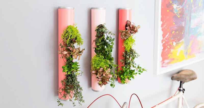 make an indoor garden