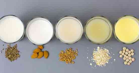 make vegan milk recipes