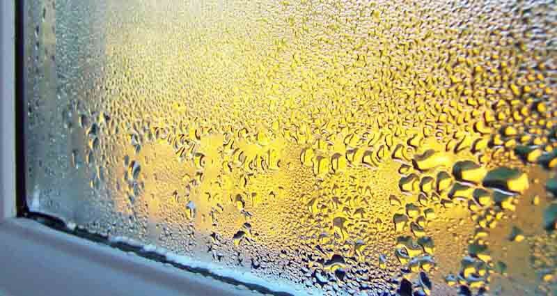 lower the humidity in your home