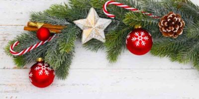 make fir branches durable