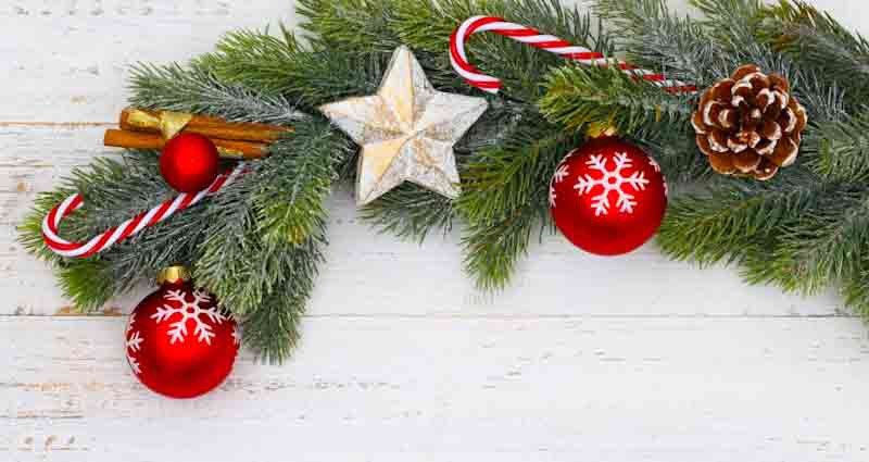 make fir branches durable