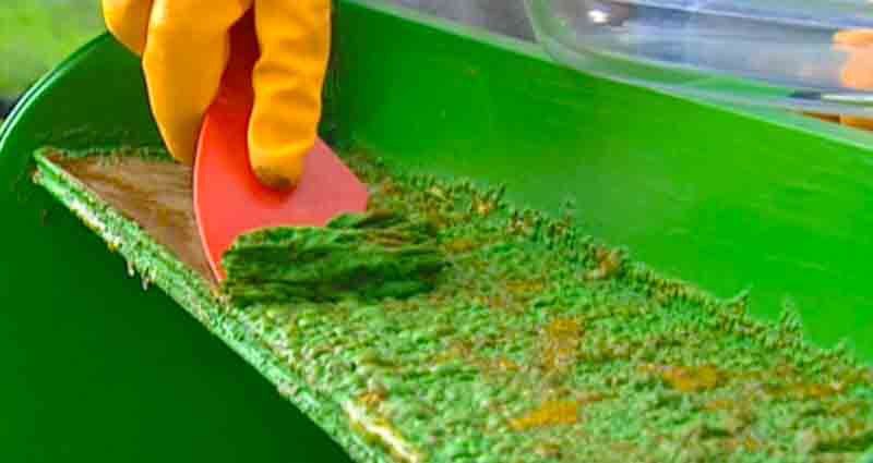remove paint from wood, metal or plastic