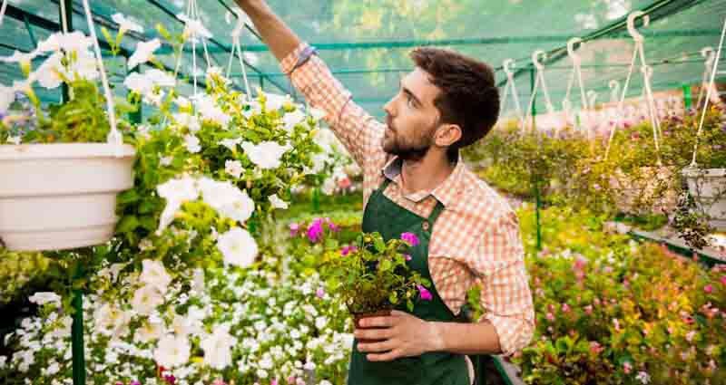 remove pollen from fabric