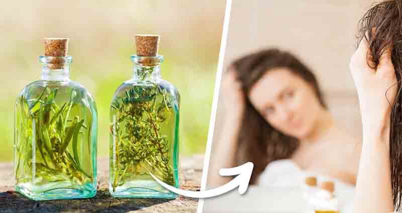 herbal vinegar hair conditioner