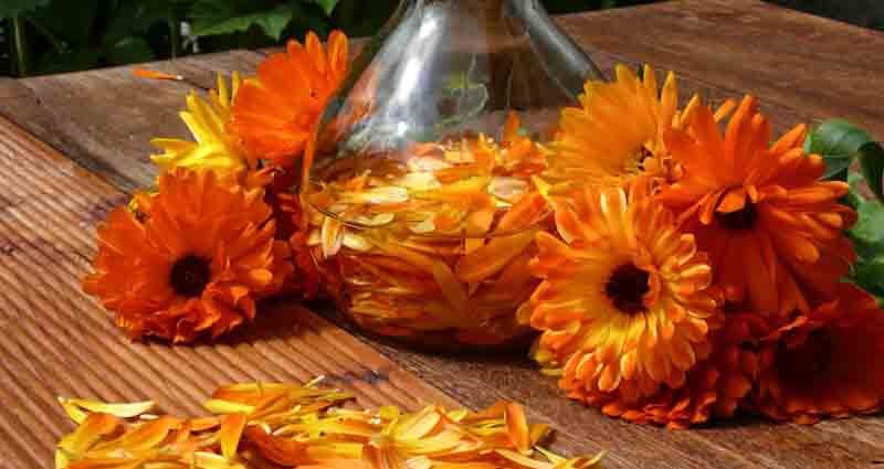 homemade skin tonic recipes