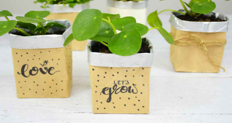 recycle tetra packs
