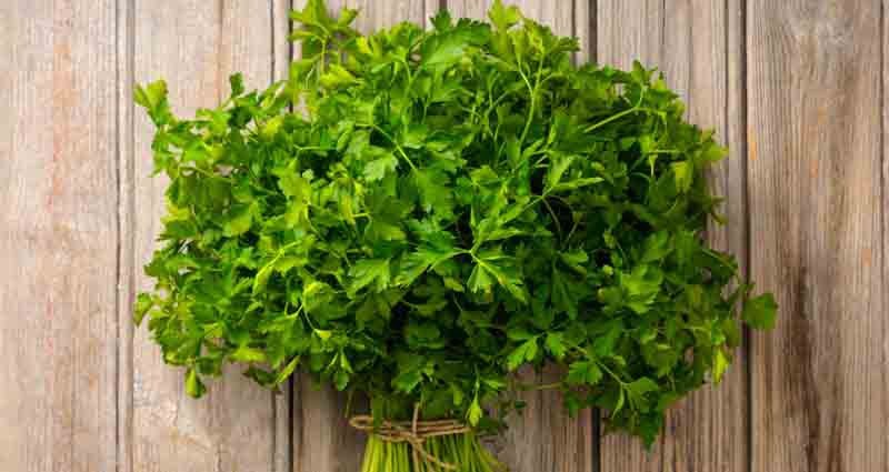 ways to freeze parsley correctly