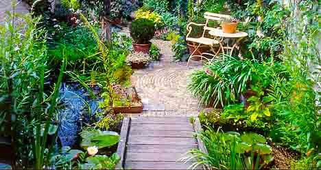 Landscape a garden