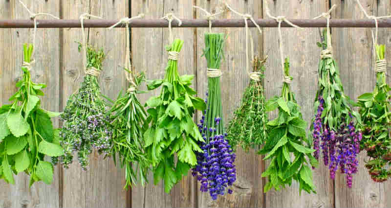 best ways to dry herbs properly