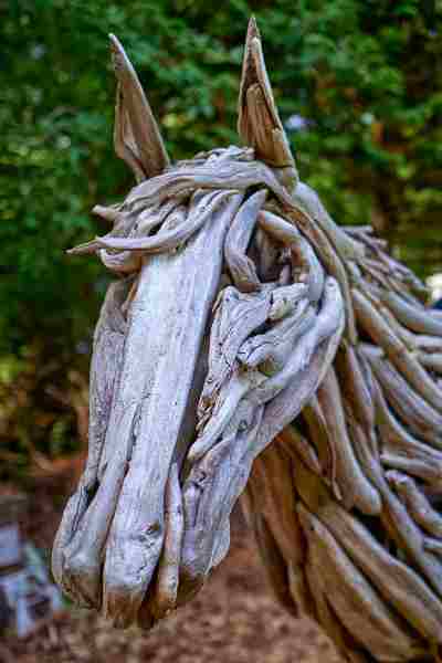 driftwood for craft projects 1.jpg