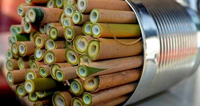 make an insect hotel