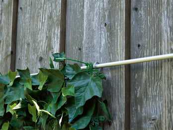 use artificial ivy in the garden