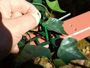 use artificial ivy in the garden