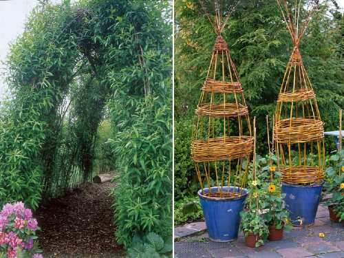 Wicker obelisk and climbing aid
