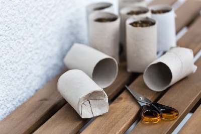 crafts from toilet paper rolls