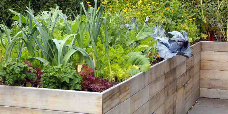 make a raised garden bed easily