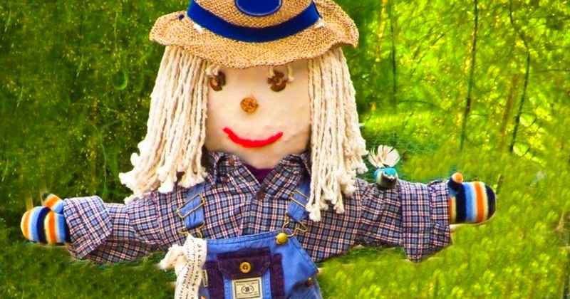 make a scarecrow