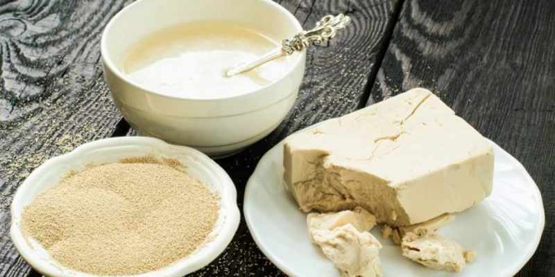 multiply and preserve yeast