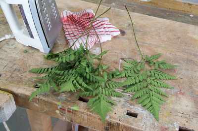 create decorative stepping stones
