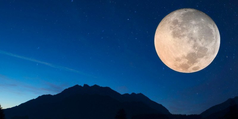 garden by the moon and lunar calendar