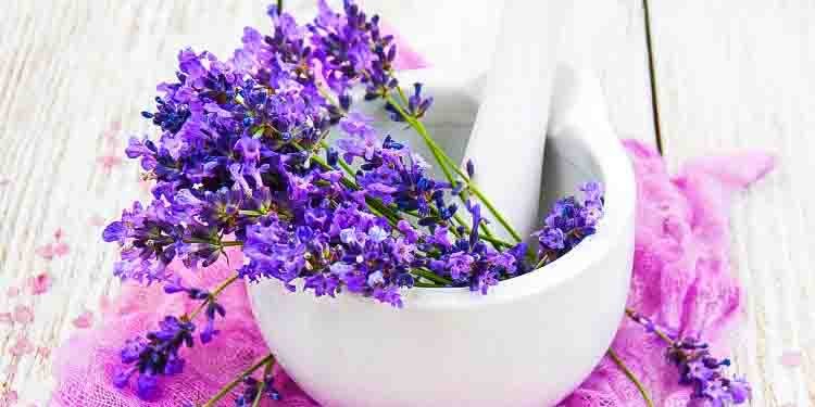 How to use lavender to sleep better