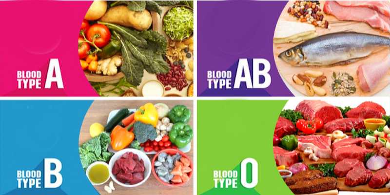 blood group diet plan