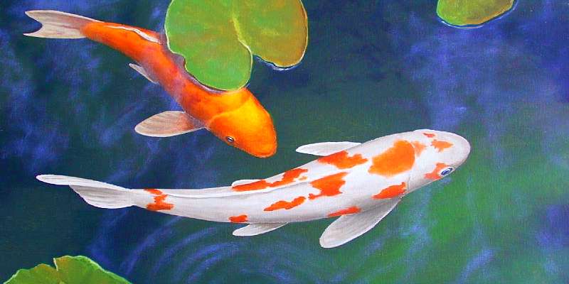 build your own pond filter system