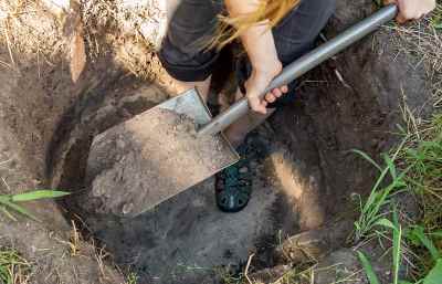 how to build a root cellar