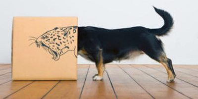 how to overcome nerves in an interview