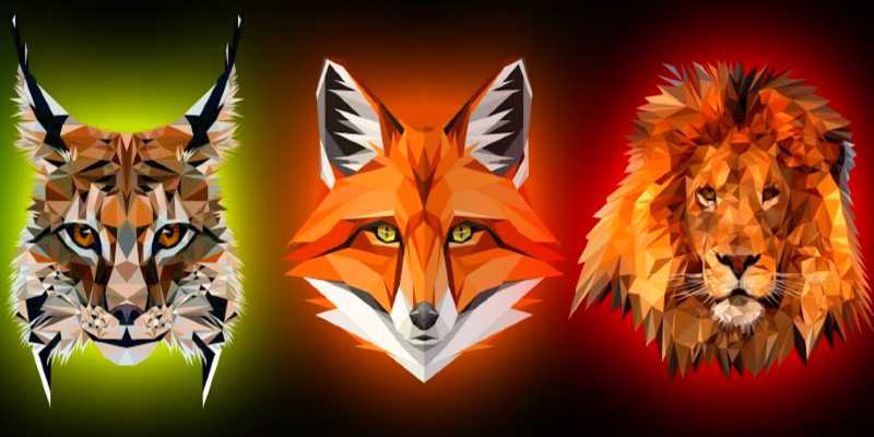 How to find your spirit animal