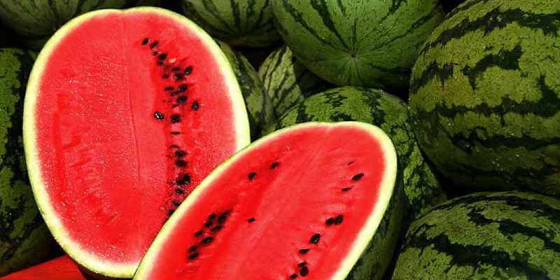 how to grow watermelon and how to choose watermelon (1)