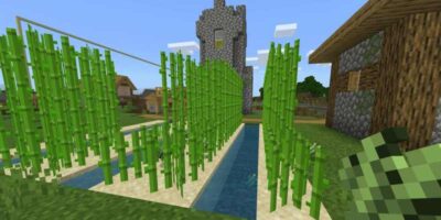how to grow sugarcane in Minecraft