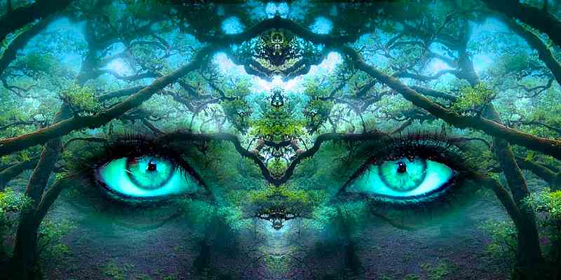 How to have lucid dreams