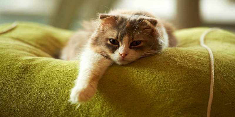 how to stop being lazy