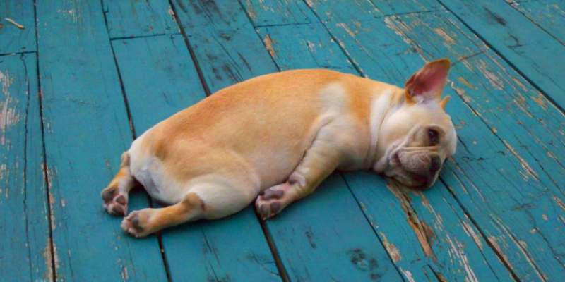how to stop being lazy