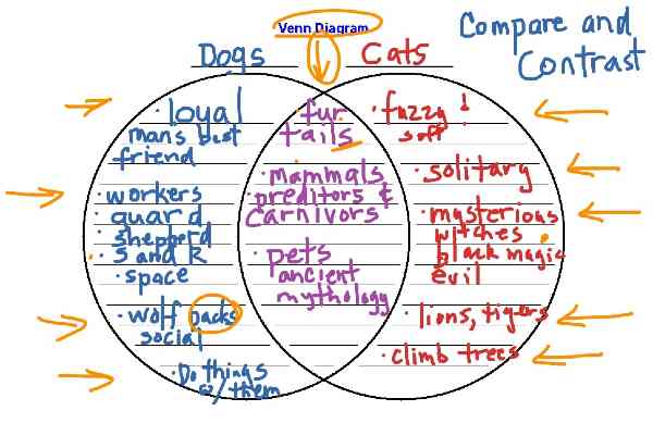 how to write an essay compare and contrast venn diagram