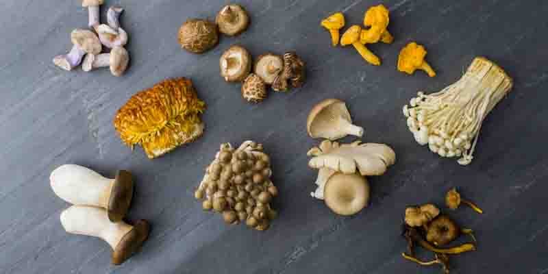 How to cook mushrooms