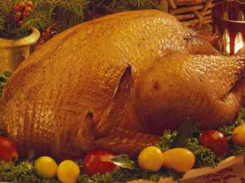 how to cook a turkey in the oven