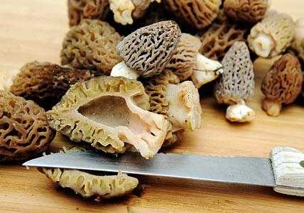 how to cook mushrooms